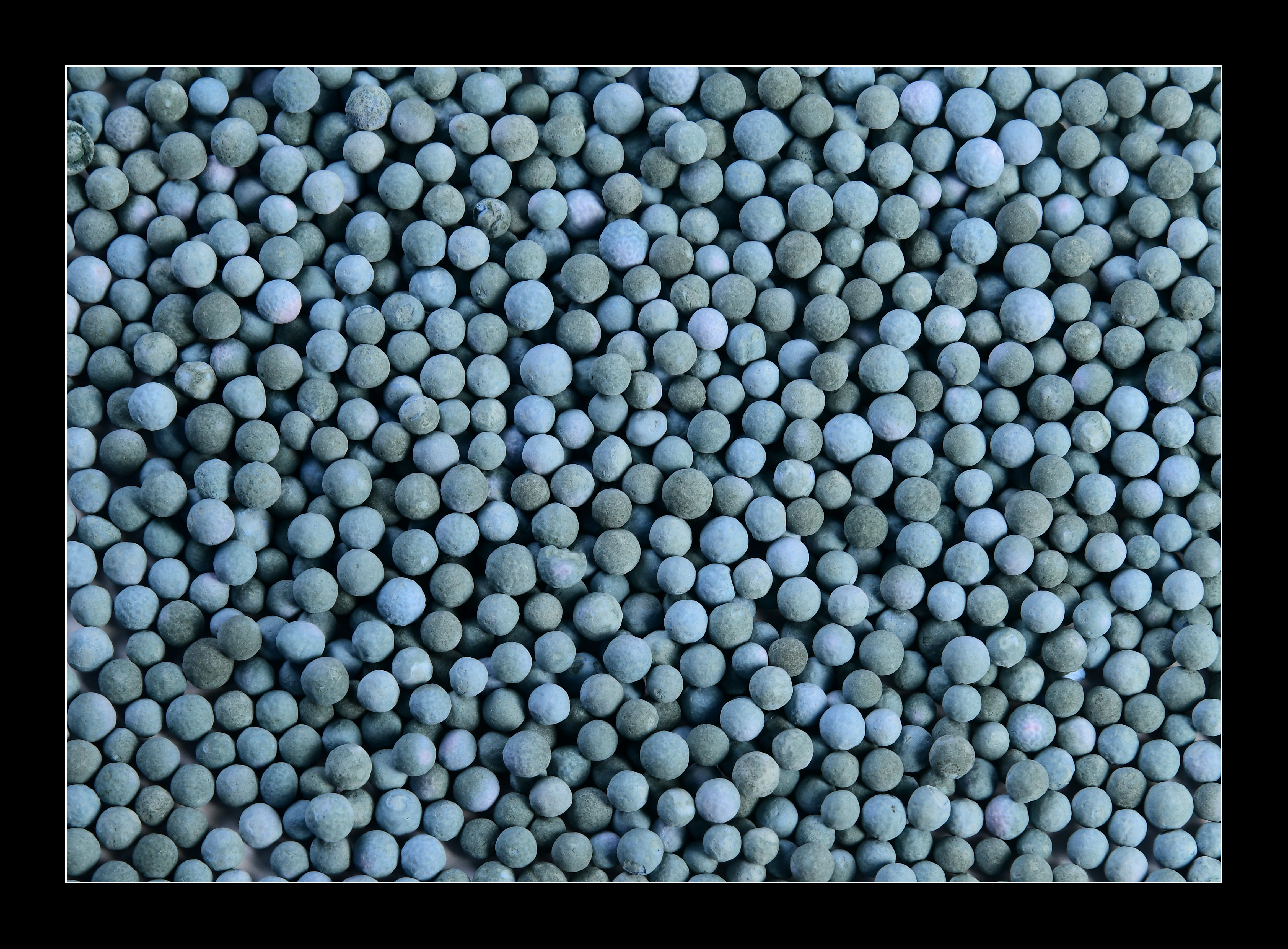 کاتالیست TGT